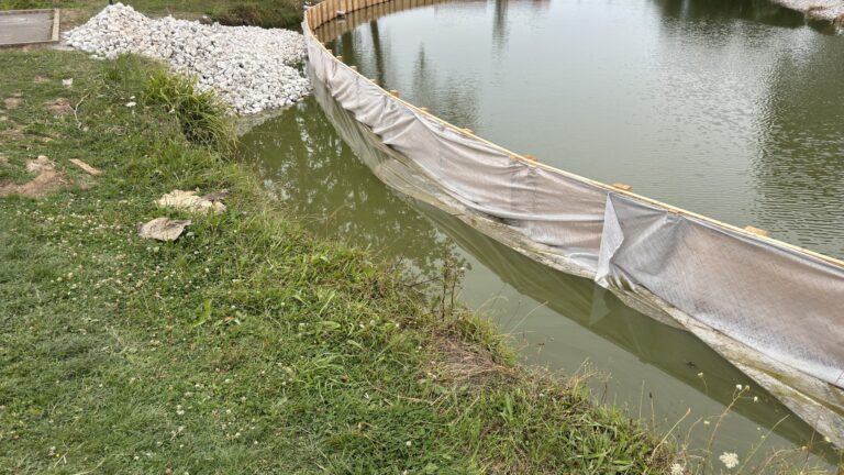 Rénovation des berges